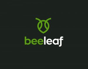 branding BeeLeaf by CUBE studio